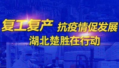 嚴防疫情、有序復工 湖北楚勝成為隨州首批復產企業(yè)之一